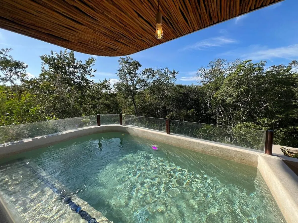 Charming Boutique Condo Jungle Views Private Pool Tulum Apartment