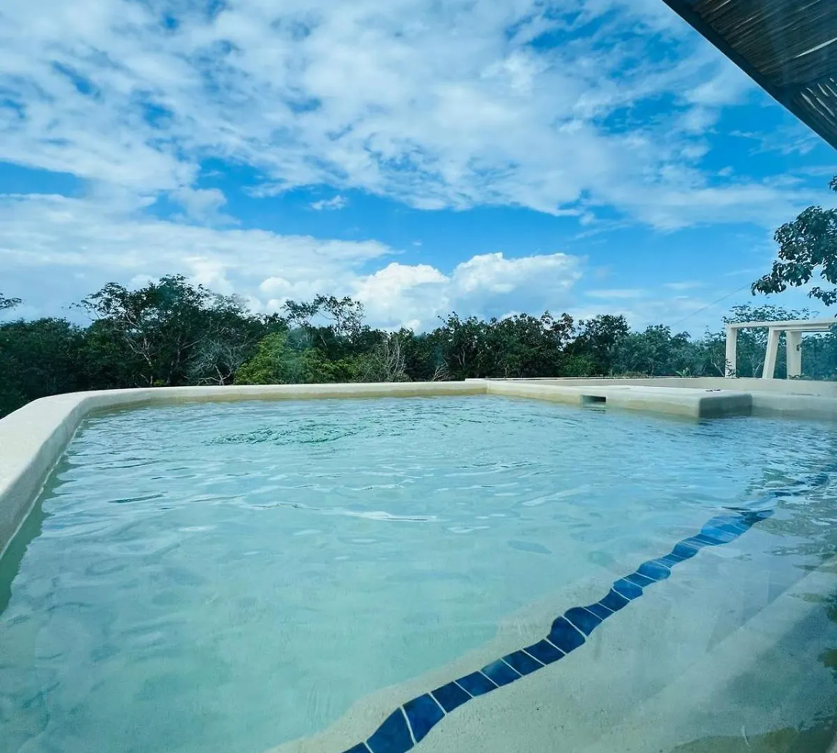Charming Boutique Condo Jungle Views Private Pool Tulum Apartment