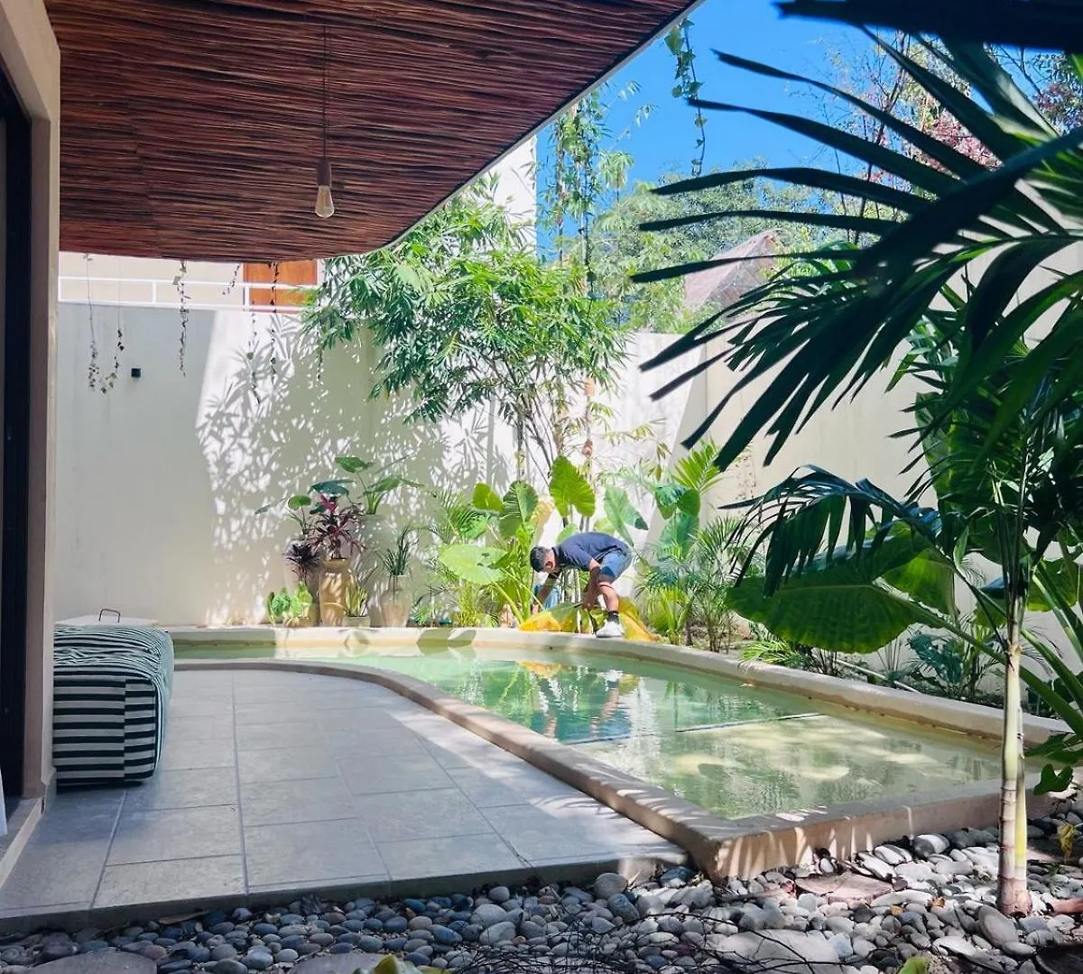 Apartment Charming Boutique Condo Jungle Views Private Pool Tulum Mexico